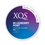 XQS Blueberry Mint